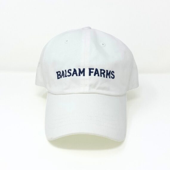 White Baseball Cap-Navy Logo